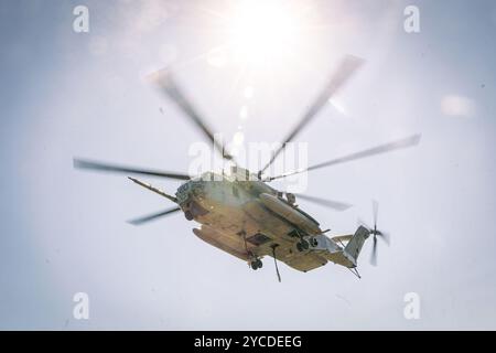 Ein Super-Hengst des U.S. Marine Corps CH-53E mit 464th Marine Heavy Helicopter Squadron, 29th Marine Aircraft Group, 2d Marine Aircraft Wing startet während der Übung Rolling Thunder auf Fort Liberty, North Carolina, 10. Oktober 2024. Bei dieser Feuerartillerieübung wurden die Kommandos- und Kontrollfunktionen, indirekte Feuerunterstützung, Gegenfeueroperationen und Sensoroperationen in einer simulierten Küstenumgebung gegen eine zukünftige Bedrohung getestet. (Foto des U.S. Marine Corps von Lance CPL. Frank Sepulveda Torres) Stockfoto