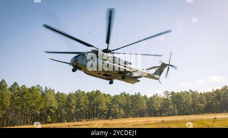 Ein Super-Hengst des U.S. Marine Corps CH-53E mit 464th Marine Heavy Helicopter Squadron, 29th Marine Aircraft Group, 2d Marine Aircraft Wing landet während der Übung Rolling Thunder auf Fort Liberty, North Carolina, 10. Oktober 2024. Bei dieser Feuerartillerieübung wurden die Kommandos- und Kontrollfunktionen, indirekte Feuerunterstützung, Gegenfeueroperationen und Sensoroperationen in einer simulierten Küstenumgebung gegen eine zukünftige Bedrohung getestet. (Foto des U.S. Marine Corps von Lance CPL. Frank Sepulveda Torres) Stockfoto