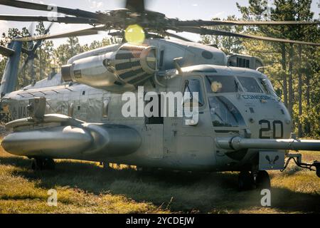 Ein Super-Hengst des U.S. Marine Corps CH-53E mit 464th Marine Heavy Helicopter Squadron, 29th Marine Aircraft Group, 2d Marine Aircraft Wing landet während der Übung Rolling Thunder auf Fort Liberty, North Carolina, 10. Oktober 2024. Bei dieser Feuerartillerieübung wurden die Kommandos- und Kontrollfunktionen, indirekte Feuerunterstützung, Gegenfeueroperationen und Sensoroperationen in einer simulierten Küstenumgebung gegen eine zukünftige Bedrohung getestet. (Foto des U.S. Marine Corps von Lance CPL. Frank Sepulveda Torres) Stockfoto