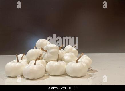 Unberührte weiße Mini-Kürbisse drängen sich auf Marmor, ihre Stiele werfen zarte Schatten unter stimmungsvoller Beleuchtung und schaffen eine ätherische Herbstpräsentation. Stockfoto