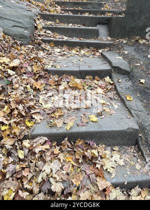 Abgenutzte Steintreppen, bedeckt mit bunten Herbstlaub in einem ruhigen Wald oder Park, symbolisiert die saisonale Veränderung und rustikale Schönheit im Freien. Stockfoto