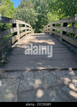 Eine ruhige Holzbrücke, umgeben von grünem Laub, bietet einen friedlichen Weg durch das Herz der Natur. Stockfoto