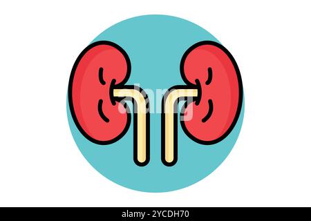 Niere-Symbol. Symbolstil für farbige Umrisse. Symbol für medizinische Geräte. Vektor-Illustration für Integritätselemente Stock Vektor