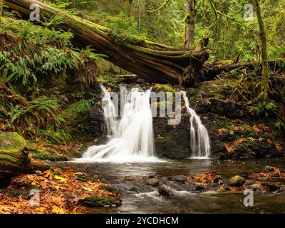 Rustikale Fälle im Moran State Park auf Orcas Island in Washington. Stockfoto