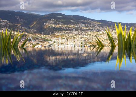 Reflexion der Stadtlandschaft von Funchal vom Infinity-Pool. Die Insel Madeira in Portugal. Stockfoto