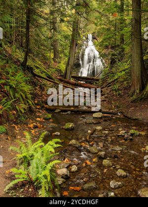 Cascade Falls im Moran State Park auf Orcas Island in Washington. Stockfoto