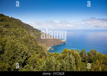 Blick auf den atlantischen Ozean mit riesigen Klippen von Ponta do Clérigo, vom Aussichtspunkt Curtado in Santana. Insel Madeira, Portugal Stockfoto