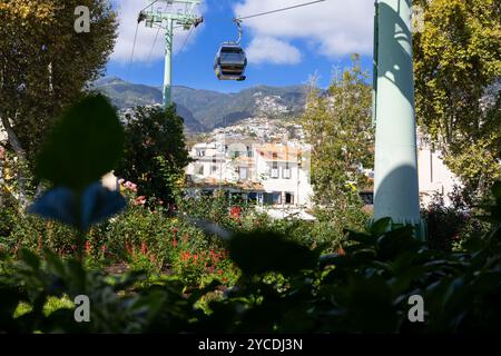 Seilbahn in der Stadt Funchal auf Madeira, Portugal Stockfoto