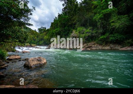 Schnell fließender Gebirgsfluss, Tully River Tully Gorge North Queensland Stockfoto
