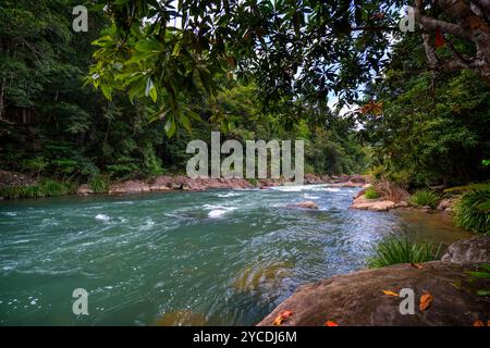 Schnell fließender Gebirgsfluss, Tully River Tully Gorge North Queensland Stockfoto