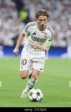 MADRID, SPANIEN - 22. Oktober: Luka Modric von Real Madrid im Spiel der UEFA Champions League 2024/25 zwischen Real Madrid und Borussia Dortmund im Santiago Bernabeu Stadion. (Foto: Guillermo Martinez) Stockfoto