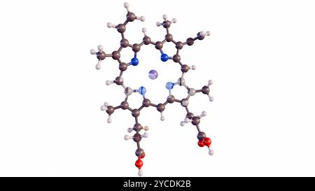 3D-Darstellung von Hämmolekülen im weißen Hintergrund. Häm ist ein Porphyrinring mit einem Eisenatom in der Mitte. Stockfoto