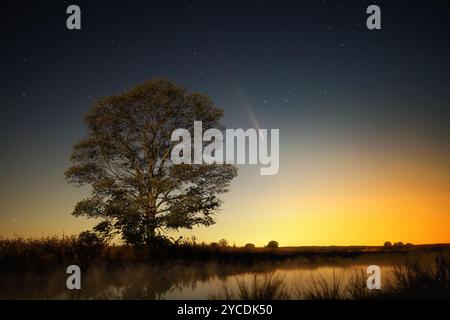 Komet Tsuchinshan-Atlas neben einem gewöhnlichen Hackbeerbaum am Rande eines kleinen Teiches an einem oktoberabend. Warme Farben und gut beleuchteter Vordergrund Stockfoto