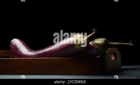 Frische Aubergine oder Aubergine auf Holztablett schwarzem Hintergrund, dunkel lila glänzende Haut mit gestreiftem Gemüse-Brinjal auf der Tischplatte, weicher Fokus Stockfoto