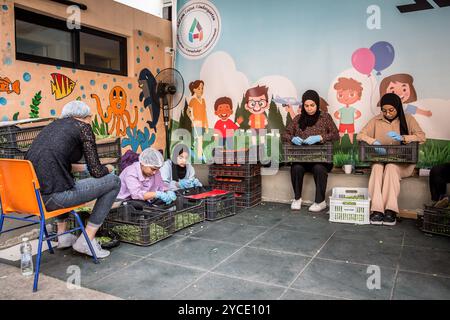 Beirut, Libanon. Oktober 2024. Freiwillig macht Erbsen, um Mahlzeiten für die Vertriebenen im Libanon zu kochen. Mehr als ein Fünftel der Bevölkerung des Landes wurde durch israelische Luftangriffe vertrieben. Israel verübt einen brutalen Angriff auf einen Großteil des Libanon und behauptet, es sei auf Ziele und Infrastruktur mit der Hisbollah verbunden. (Credit Image: © Sally Hayden/SOPA Images via ZUMA Press Wire) NUR REDAKTIONELLE VERWENDUNG! Nicht für kommerzielle ZWECKE! Stockfoto