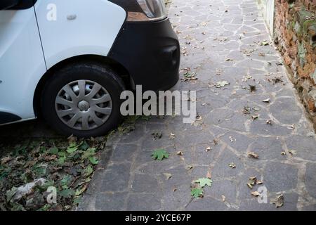 Cremona, Lombardei, Italien 15. Oktober 2024 Ein weißer Lieferwagen parkt auf einer gepflasterten Straße mit trockenem Laub in einer europäischen Stadt Stockfoto