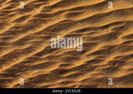 Windgeformte Sandstruktur in der Wüste RUB al Khali, Provinz Dhofar, Arabische Halbinsel, Sultanat Oman Stockfoto