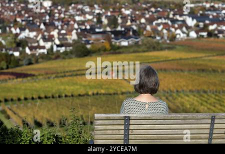 Ältere Frau, die auf Bank sitzt, Parkbank, Blick auf Weinberg, Reben, Weinreben, Weinbau, Herbstfarben, Herbst, Kappelberg, Fellbach, W Stockfoto