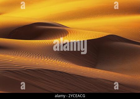 Windgeformte Sandstruktur in der Wüste RUB al Khali, Provinz Dhofar, Arabische Halbinsel, Sultanat Oman Stockfoto