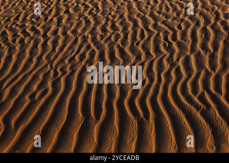 Windgeformte Sandstruktur in der Wüste RUB al Khali, Provinz Dhofar, Arabische Halbinsel, Sultanat Oman Stockfoto