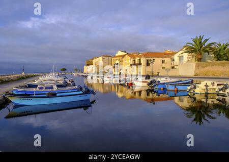 Hafen, Meze, Meze, auf der Etang Thau, Departement Herault, Region Provence-Alpes-Cote d'Azur, Frankreich, Europa Stockfoto