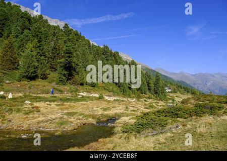 Staller Almbach, Staller Sattel, Defereggental, Osttirol, Österreich, Europa Stockfoto