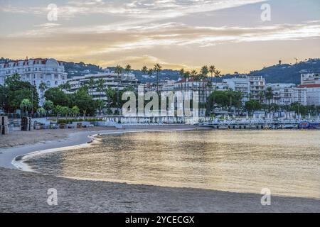 Frühmorgens Blick auf Croisette, hohe Palmenallee, rosafarbener Himmel bei Sonnenuntergang im Sommer Cannes. Ein Turm auf einem Hügel und Kran, Maschinen Stockfoto