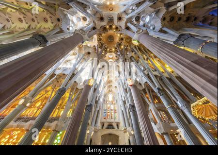 Barcelona, Spanien, 7. April 2023: Das Innere der Kathedrale La Sagrada Familia, entworfen von Gaudi, wird seit 1882 gebaut. Grafik, Europa Stockfoto