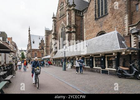 Haarlem, Niederlande, 3. August 2016: Malerisches Stadtbild von Haarlem mit der Kathedrale, einer Frau auf dem Fahrrad und Touristen Stockfoto