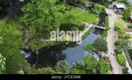 Beeindruckender Blickwinkel auf Kaiserslauetrn Japanischer Garten, dort Wasserfall, Teich, Menschen in der Ferne. Rhododendronbüsche blühen Mitte Mai! Stockfoto