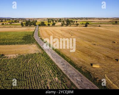 Luftaufnahme der Landstraße durch landwirtschaftliche Felder im Sommer. Burgos, Castilla Leon. Draufsicht der Drohne Stockfoto