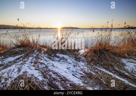 Wintersonnenaufgang über dem See mit gefrorenem Schilf, Seegarten, Allensbach, Bodensee, Baden-Württemberg, Deutschland, Europa Stockfoto