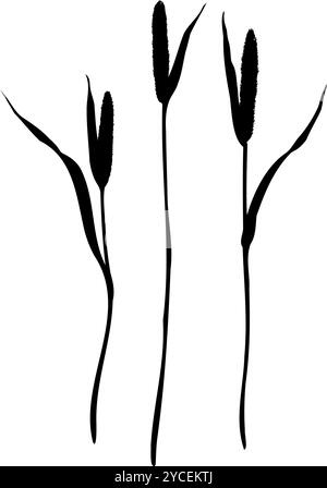 Set von timothy Gras Silhouetten. Handgezeichnete Vektorillustration isoliert auf weißem Hintergrund. Skizzieren Sie im Strichstil, gemalt mit schwarzen Tinten für Stock Vektor