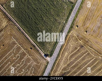 Luftaufnahme von oben auf Landstraßen durch landwirtschaftliche Felder im Sommer. Burgos, Castilla Leon. Draufsicht der Drohne Stockfoto