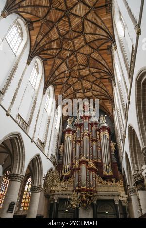 Haarlem, Niederlande, 3. August 2016: Flacher Blick auf das Innere der Kathedrale von Haarlem. Die Grote Kerk ist eine protestantische Kirche und ehemalige Cat Stockfoto