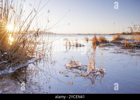 Sonnenuntergang über dem See mit Schilf und sanften Winterfarben, Seegarten, Allensbach, Bodensee, Baden-Württemberg, Deutschland, Europa Stockfoto