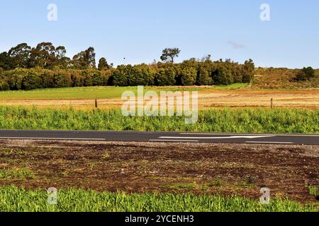 Bepflanzte Farm in Tandil, Buenos Aires, Argentinien, Südamerika Stockfoto