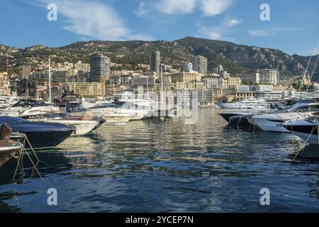 Beeindruckender Blick auf Boote und Yachten (Segelboote) im Hafen von Hercule und die Gebäude von Monaco und Monte Carlo in die richtige Richtung mit Hotels und Casino bui Stockfoto