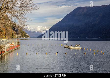 Herrlicher Blick auf die europäischen Alpen von Lugano (Olivenpfad) und das Wasser des Luganer Sees und der schwarzen Enten Stockfoto