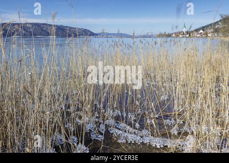 Blick auf einen gefrorenen See mit Schilf im Vordergrund, umgeben von Bergen unter blauem Himmel, Sipplingen, Bodensee, Baden-Württemberg, Deutsch Stockfoto