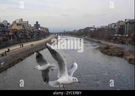 23. Dezember 2017, Kyoto, Japan, Asien, Stadtblick auf Kyoto und den Kamo-Fluss, Asien Stockfoto