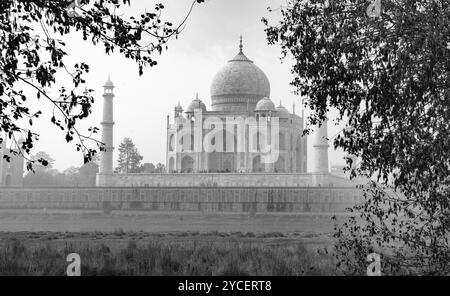 Fantastisches Taj Mahal in Agra - architektonisches Wahrzeichen Indiens! Blacl und weiß Stockfoto