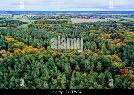 Sie zeigen einen beeindruckenden Blick aus der Vogelperspektive auf einen dichten Wald mit farbenfrohen Blättern, der an eine ländliche Landschaft mit Feldern und Wiesen grenzt Stockfoto