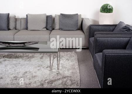 Wohnzimmer mit brandneuen Möbelklassiker Stockfoto