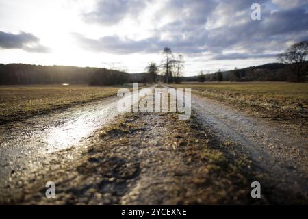 Ein matschiger Weg führt in die Ferne, beleuchtet von sanftem Abendlicht unter bewölktem Himmel, Mindelsee, Allensbach, Bodensee, Baden-Württemberg Stockfoto