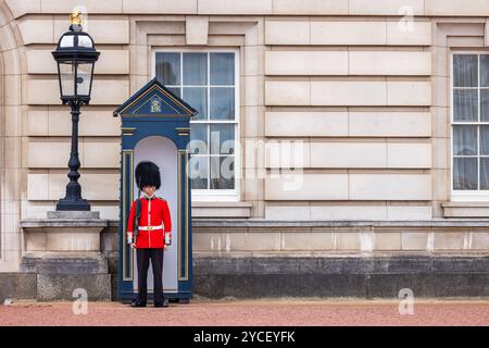 Walisischer Wächter auf Wache vor dem Buckingham Palace. London, England Stockfoto