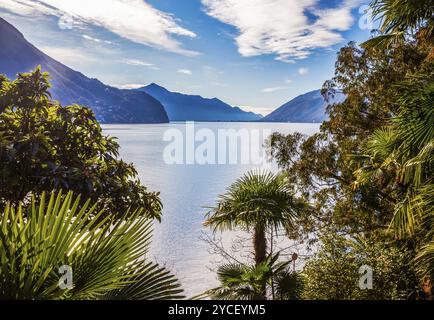 Fantastische Aussicht auf den Luganer See mit Bergen auf der anderen Seite des Luganer Sees. Foto von den Vororten von Lugano und Olivenpfad mit Palmen (einige Park Stockfoto