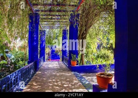 Offene Veranda mit Kletterweinen im Majorelle Garten in Marrakesch : auch rote Blumen von Kniphofia auf der linken Seite und erstaunliche marokkanische Fliesen auf f Stockfoto