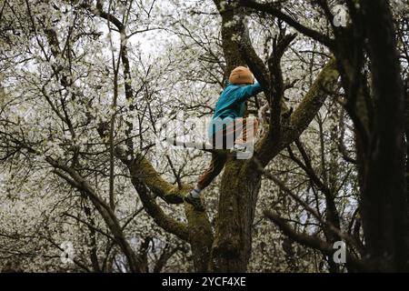 Junge klettert im Wald Stockfoto