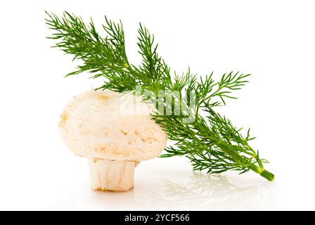 Champignon und grüner Dill auf weißem Hintergrund Stockfoto